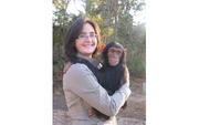 nice Looking male and female chimpanzees for (adoption) ($300.00)